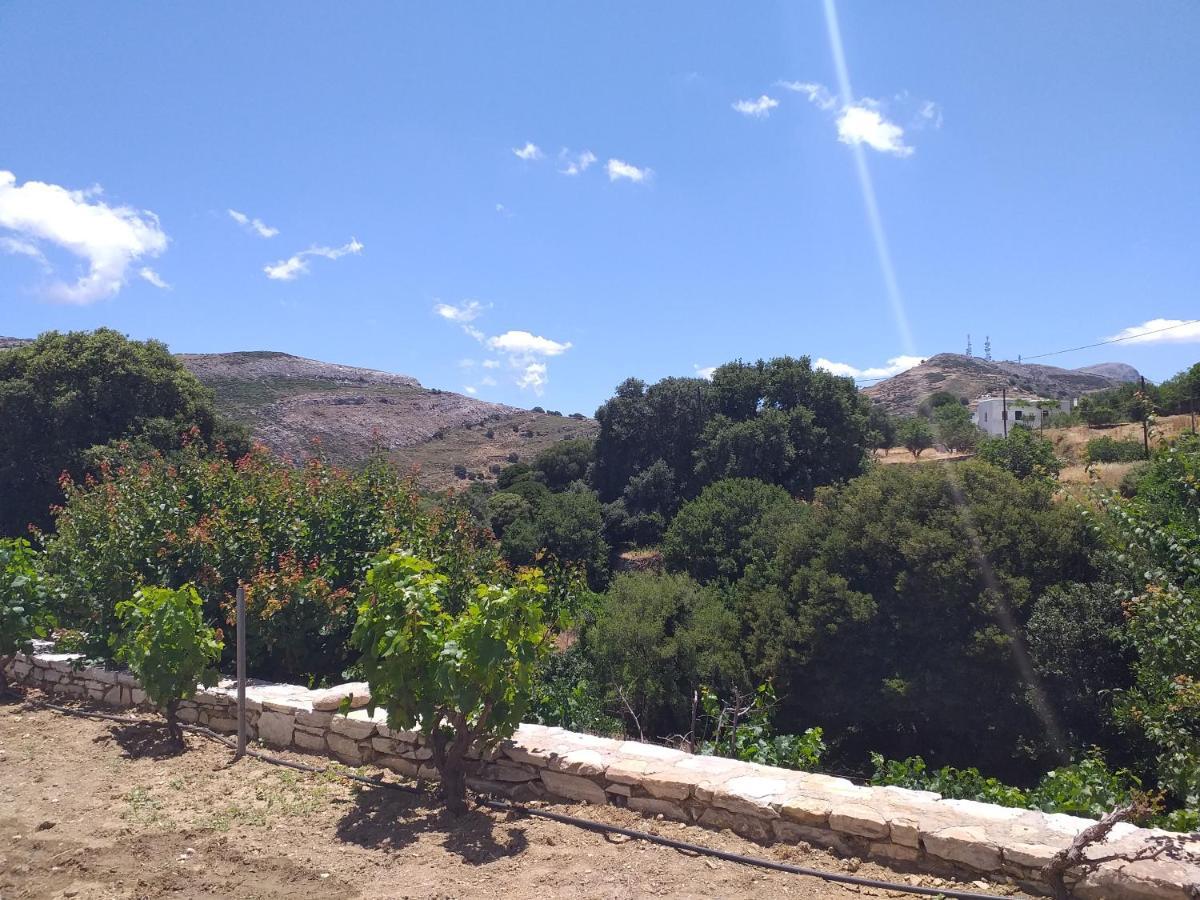 Apérathos Imellos מראה חיצוני תמונה